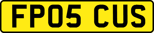 FP05CUS