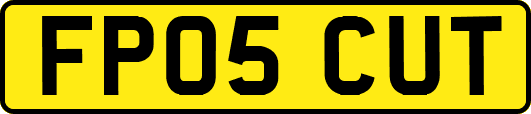 FP05CUT