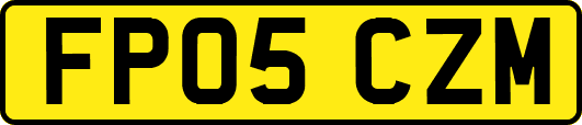 FP05CZM