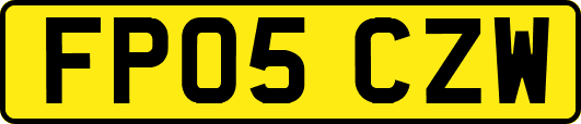 FP05CZW