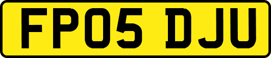 FP05DJU