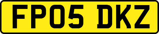 FP05DKZ
