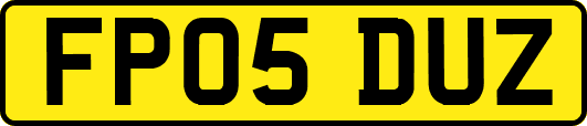FP05DUZ