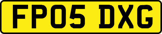 FP05DXG