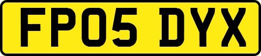 FP05DYX