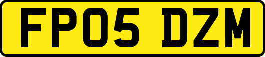 FP05DZM