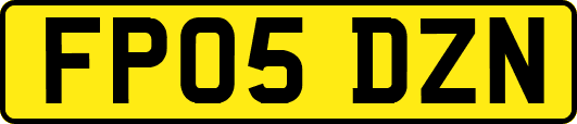 FP05DZN