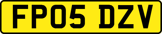 FP05DZV