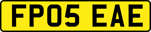 FP05EAE