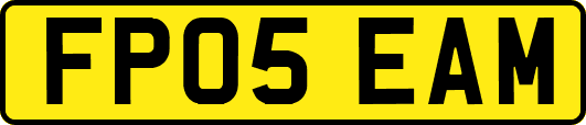 FP05EAM