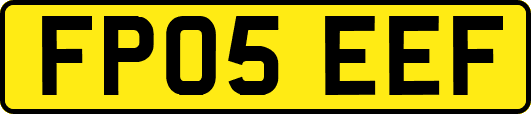 FP05EEF