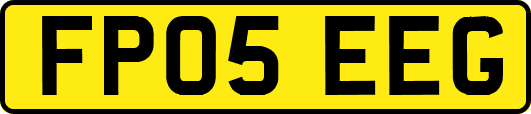 FP05EEG