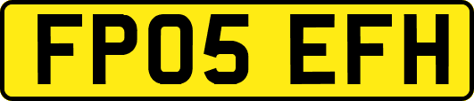 FP05EFH