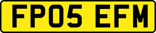 FP05EFM