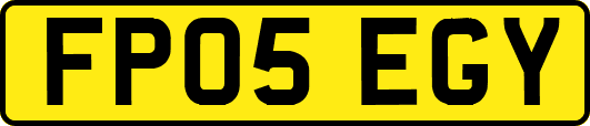 FP05EGY