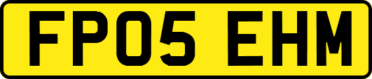 FP05EHM