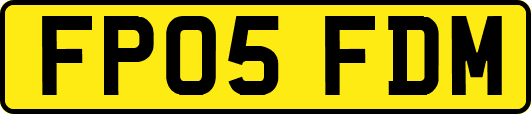 FP05FDM