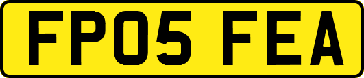 FP05FEA
