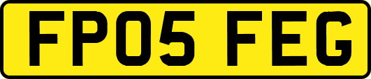 FP05FEG