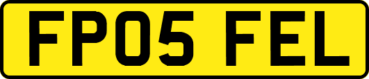 FP05FEL
