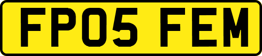 FP05FEM