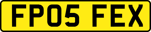 FP05FEX