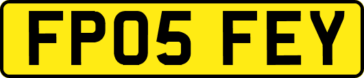 FP05FEY