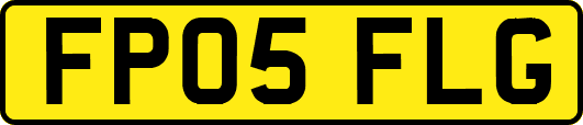 FP05FLG