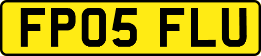 FP05FLU