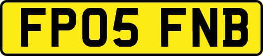 FP05FNB