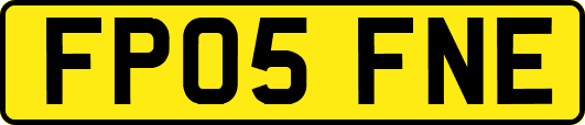 FP05FNE