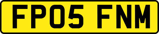 FP05FNM