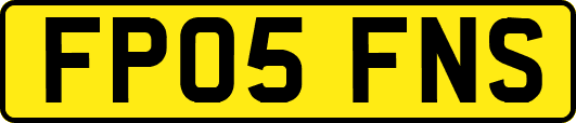 FP05FNS