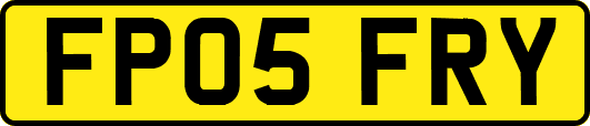 FP05FRY