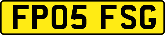 FP05FSG