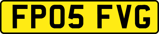FP05FVG