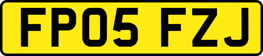 FP05FZJ