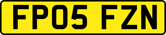 FP05FZN