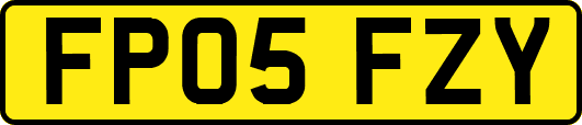 FP05FZY