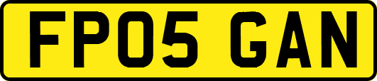 FP05GAN