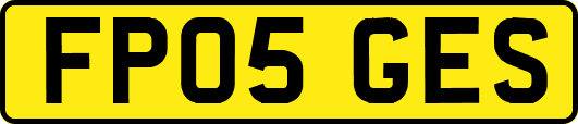 FP05GES