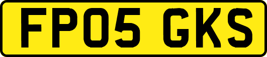 FP05GKS
