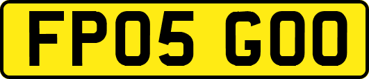 FP05GOO