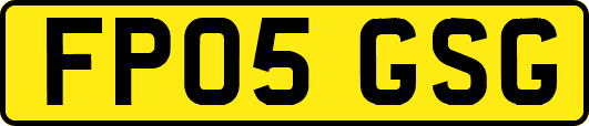 FP05GSG