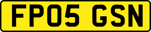 FP05GSN