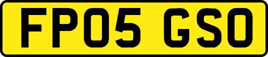 FP05GSO