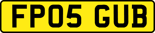 FP05GUB