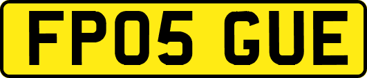 FP05GUE
