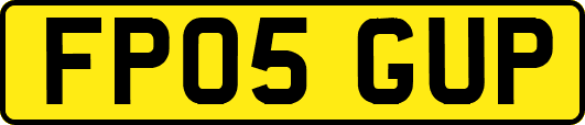 FP05GUP