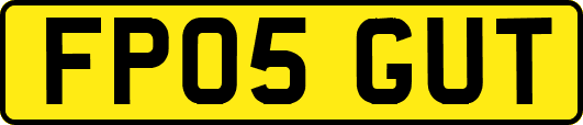 FP05GUT